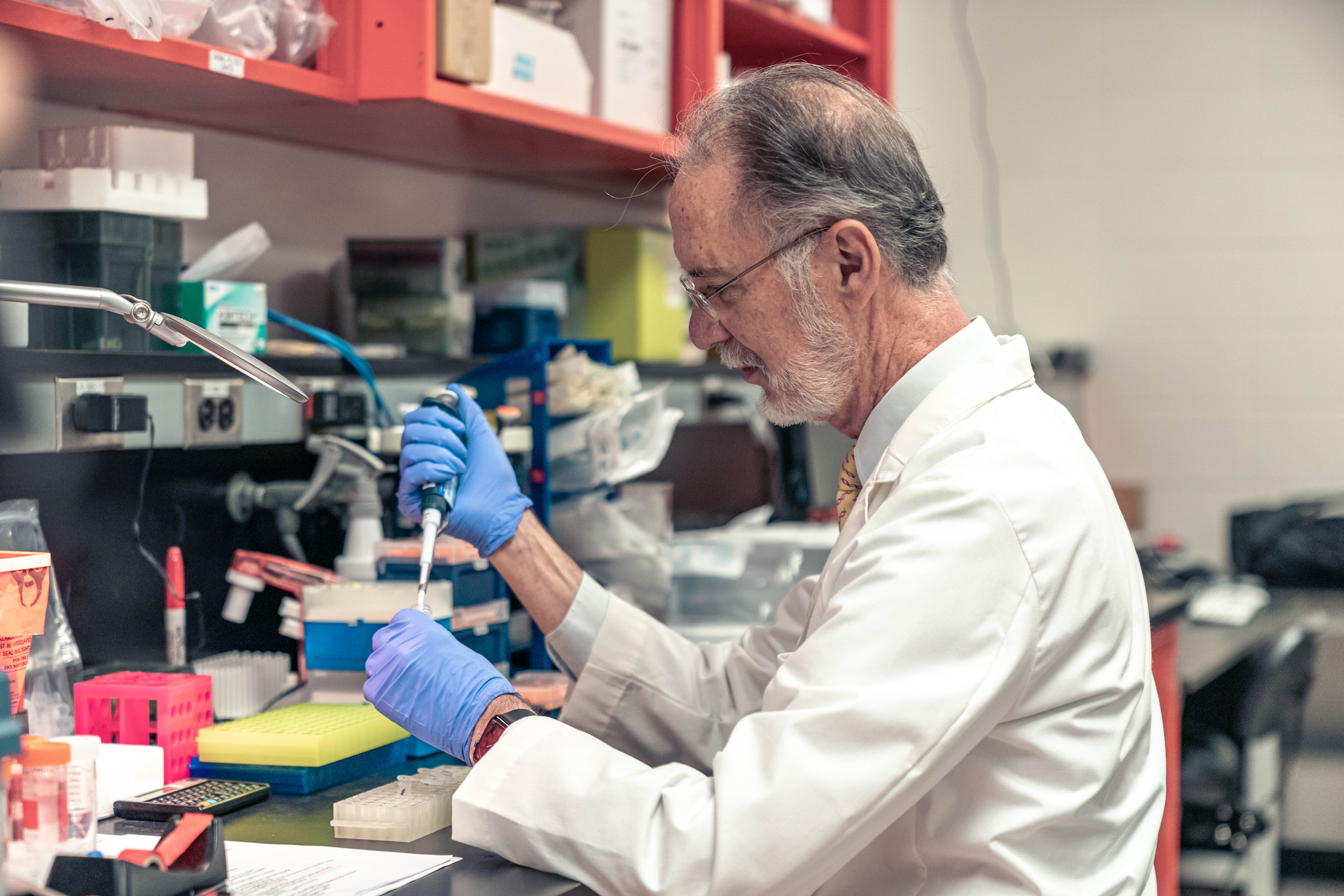 Thomas L. Rothstein, MD, PhD, measures samples in his lab at the W.E. Upjohn M.D. Campus