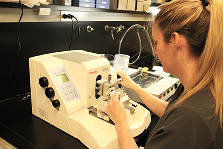 Research Histology Lab
