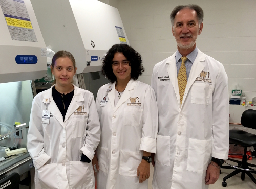 Team of researchers from Cuba, WMed working to enhance lung cancer vaccine