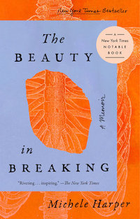 The Beauty in Breaking