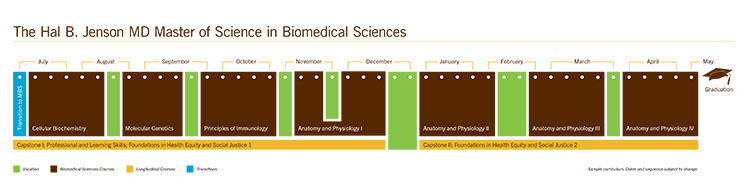 MBS Curriculum Calendar 2024