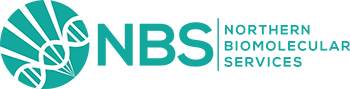 Next Stage Labs Logo