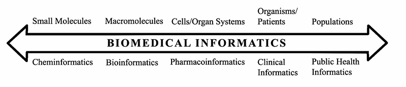 Subdomains of Biomedical Informatics