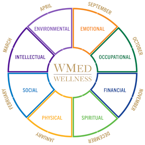 WMed Wellness Pie