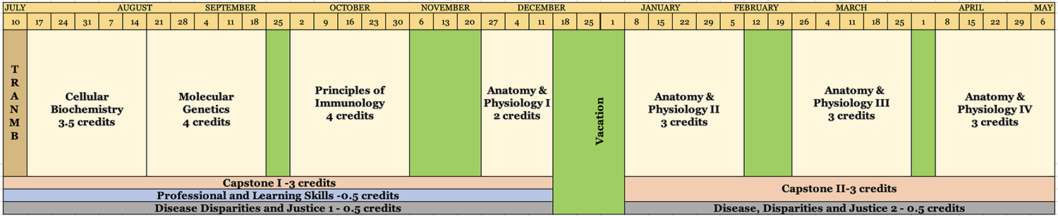 MBS Curriculum Calendar - Large