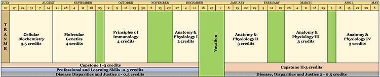 MBS Curriculum Calendar