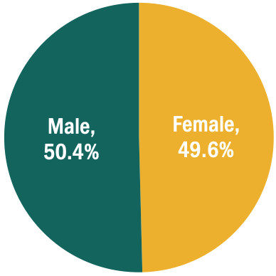 Gender (Students)